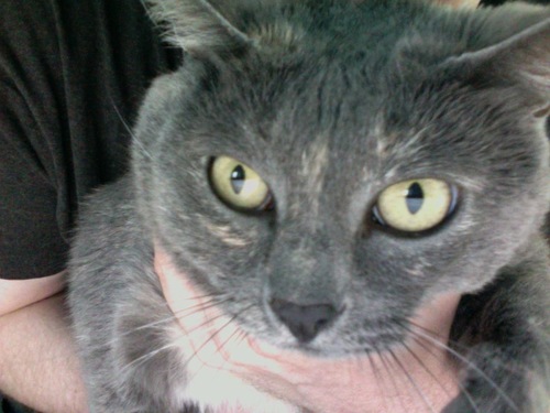 tcpip's profile picture. Owner of Schema Networks, Dork, Nerd...  I have too many computers.