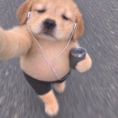 HertaProesjeis's profile image