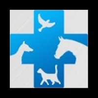 The Internet Vets (@theinternetvets) 's Twitter Profile
