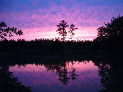 ConnieBolickLee's profile picture. I'm a country girl, enjoying life, flower gardens, and southern cooking.