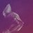 Sedeexe's profile image