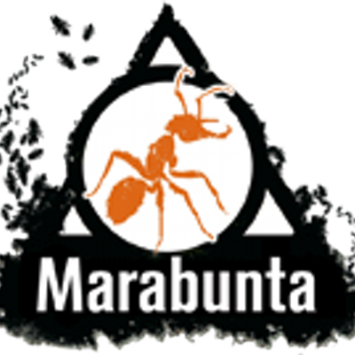 Marabunta (@Marabunta_Games) | Twitter