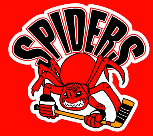 The official Twitter home of the AHA Spiders Hockey Clubs of the @ahahockey Adult Hockey Association. Est. 2004