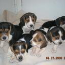 Rita Mize - @RIXTURBO - Twitter