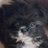 duryumi's profile image