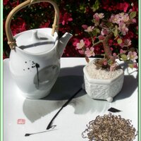 GreenTeaLover (@greentealovers) 's Twitter Profile
