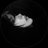 Olewx1O's profile image