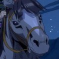 LA Boom Boom’s awesome beautiful horse