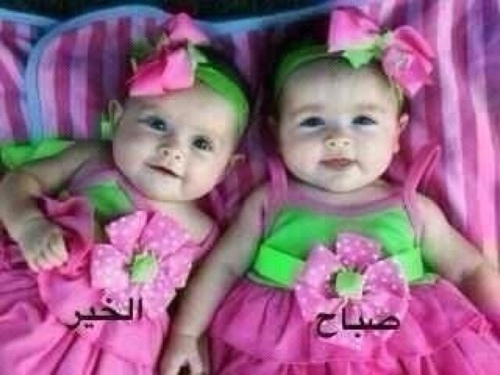 ياقاصداً صفحتي إليك تحيتي محفوظةً بالحب والعطر الندي عند الدُّخُول اذا أردتَ سعادتي صلِّي على خير الآنام محمدِ.