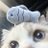 Vorahani's profile image