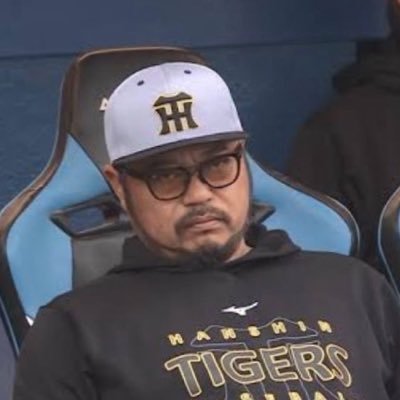 負けても勝っても阪神ファン、暴言吐く人はどの球団でも嫌いです🐯