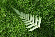 CJRNZ's profile picture. Chief Technologist - My views & opinions are my own - "Logic will get you from A to B, but Imagination can take you anywhere"