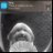 zedl0r's profile image