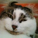 matt shirley - @mattshirley2 - Twitter