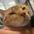 nensan22's profile image