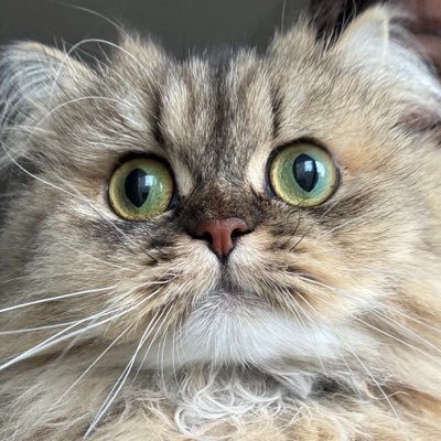 aumanabun Profile Picture
