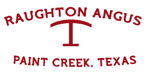 JimRaughton's profile picture. 