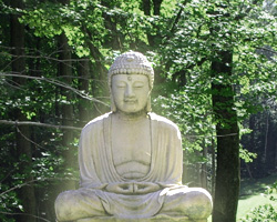 SundariSatnam's profile picture. Kundalini yoga center on quiet 200 acre farm in southern Vermont. Classes, workshops, retreats. Exploring applications of yoga therapy for anxiety & depression.