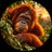 ApePlanetSol's profile image