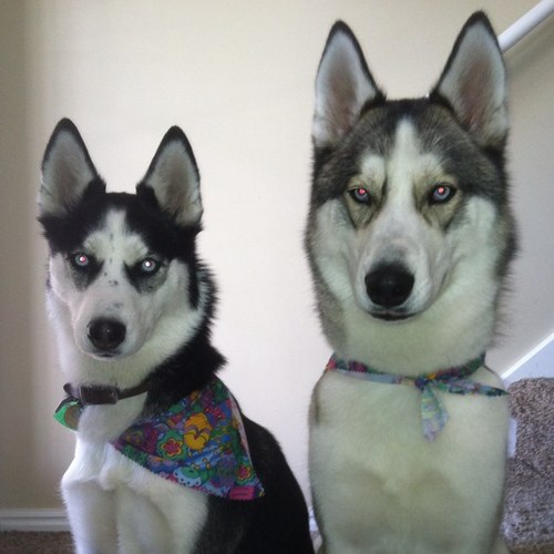 Mareye15's profile picture. 