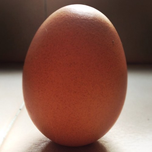 matlorusso's profile picture. 