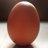 matlorusso's profile image