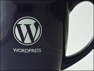 Your guide to WordPress themes, plugins, tutorials and resources