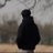 darksufiyan's profile image