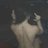 brayden19256245's profile image