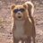 Erre664's profile image