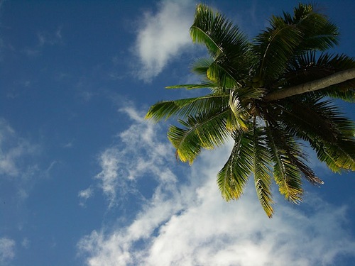 valeach101's profile picture. 