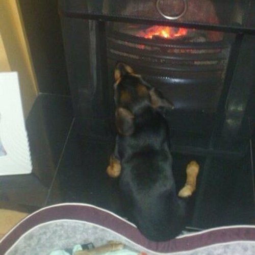 Jedward_Sarah's profile picture. 