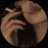 Fam96x's profile image