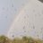 CPalmesen22275's profile image