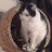ladyf67's profile image