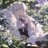 RY_Love94's profile image