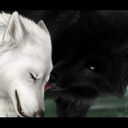 daniel.herry - @DanielHerry - Twitter