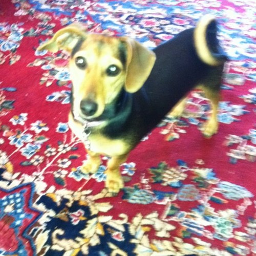 SA6044's profile picture. 