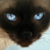 My Underu (@underutoo) 's Twitter Profile