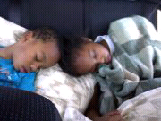 Nolia79's profile picture. 