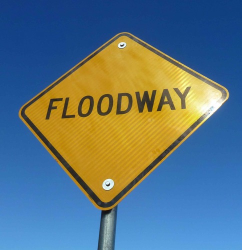 AlexGonnella1's profile picture. 