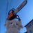Mknow_echo's profile image