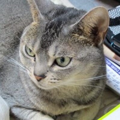 ナカムラクニオ Kunio Nakamura on Twitter