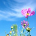 Jan Winston - @janwins67 - Twitter