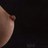 NipplesBronson's profile image