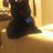BeckyJRaynsford's profile image