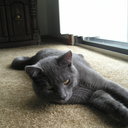 Peter Timm - @ptimm76 - Twitter