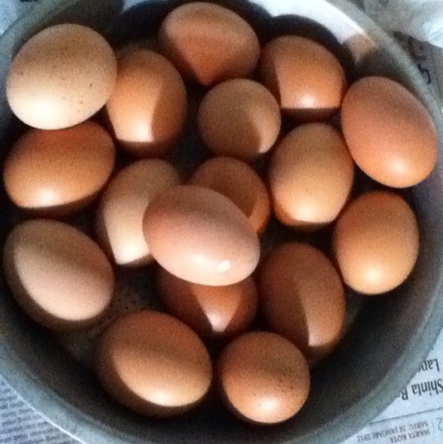 anto_sk's profile picture. following a heart-minded life :)