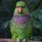 taylorSignalSky's profile image