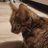 HappyFa37890776's profile image